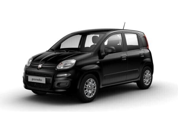 Weiß (cinema schwarz) Neu 2024 Fiat Panda Kleinwagen | 11.990 € (Superpreis) - Bild 1/4