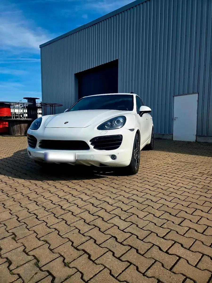 Gebraucht Porsche Cayenne 245 PS (180 kW) 2012 Weiß SUV