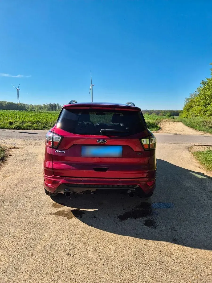 Brugt Ford Kuga ST-Line 182 HK (133 kW) 2019 Rød SUV