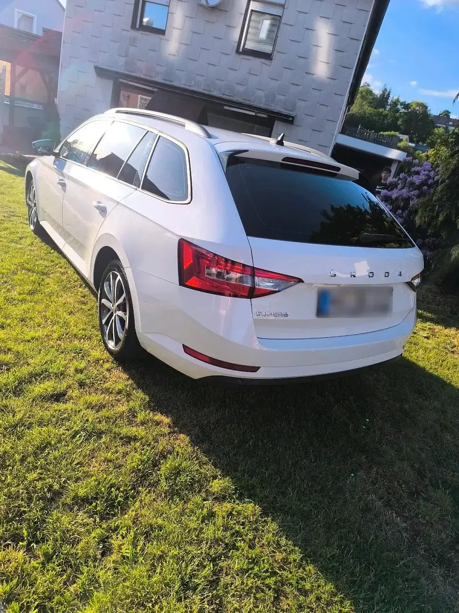 Gebraucht Skoda Superb 150 PS (110 kW) 2019 Weiß Kombi