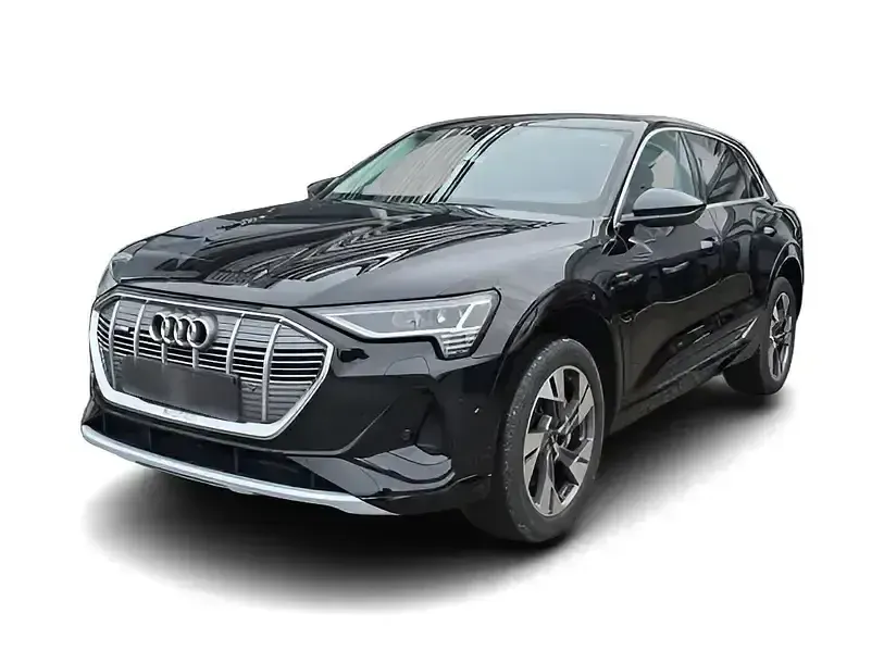 Gebraucht Audi e-tron S-Line 76 kW (104 PS) 2022 Schwarz SUV