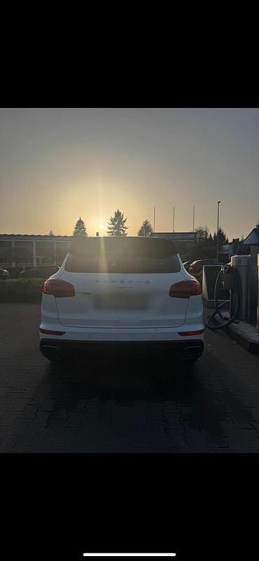 Gebraucht Porsche Cayenne 240 PS (176 kW) 2017 Weiß SUV