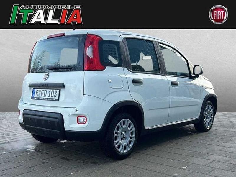 Gebraucht Fiat Panda 70 PS (51 kW) 2024 Weiß Kleinwagen