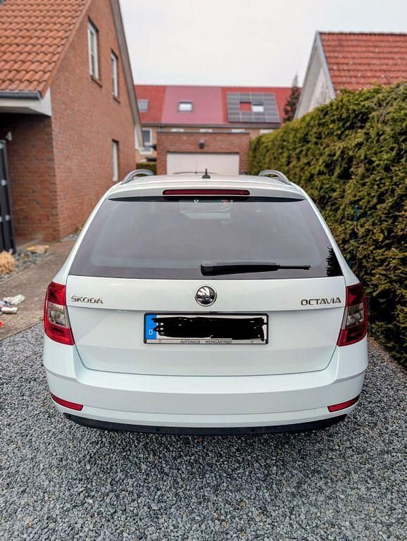 Gebraucht Skoda Octavia Active 150 PS (110 kW) 2018 Weiß Kombi