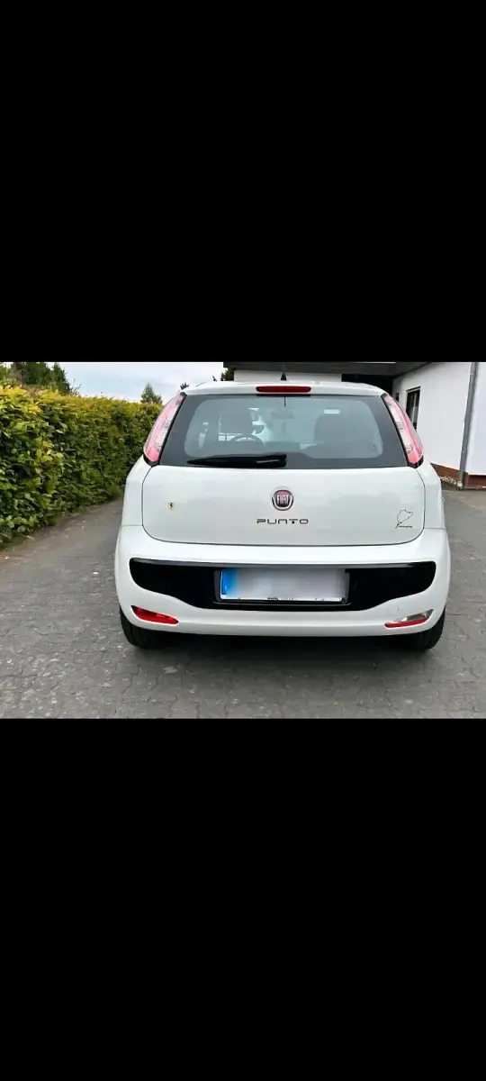 Gebraucht Fiat Punto 2011 Weiß Kleinwagen