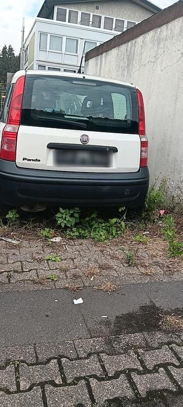 Weiß Gebraucht 2010 Fiat Panda Kleinwagen | 1.200 € (Guter Preis) - Bild 1/3