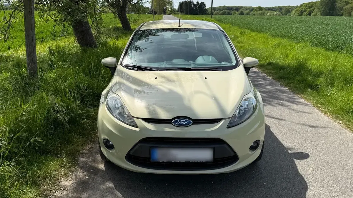 Usata Ford Fiesta 82 CV (60 kW) 2009 Verde Utilitaria
