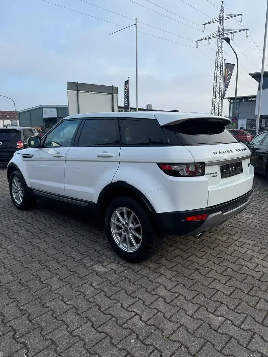 Gebraucht Land Rover Range Rover evoque Pure 150 PS (110 kW) 2013 Weiß SUV
