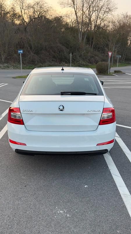 Gebraucht Skoda Octavia 150 PS (110 kW) 2016 Weiß Kleinwagen