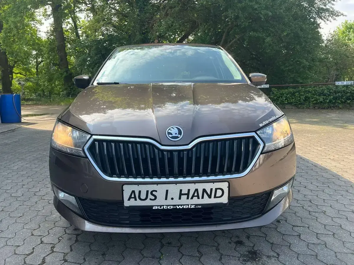 Gebraucht Skoda Fabia Cool Plus 95 PS (69 kW) 2019 Maple braun metallic Kleinwagen
