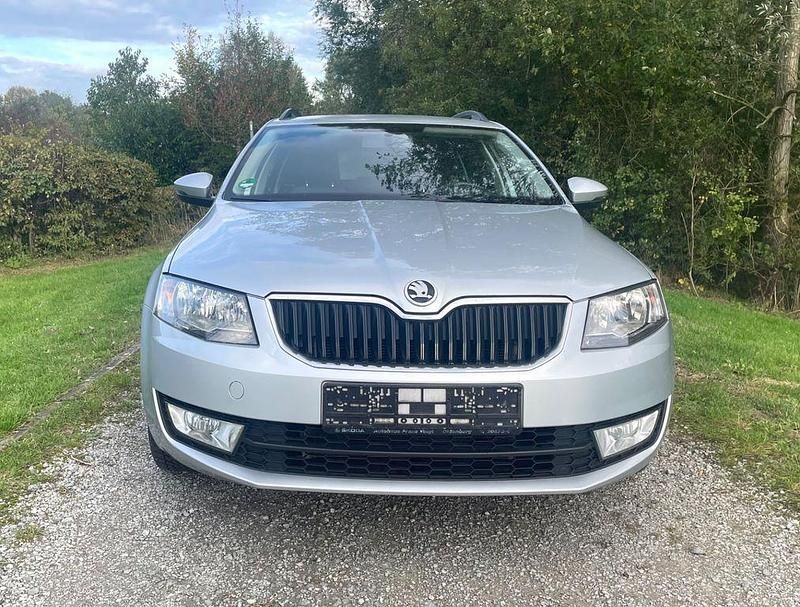 Gebraucht Skoda Octavia G-TEC 110 PS (80 kW) 2015 Silber Kombi
