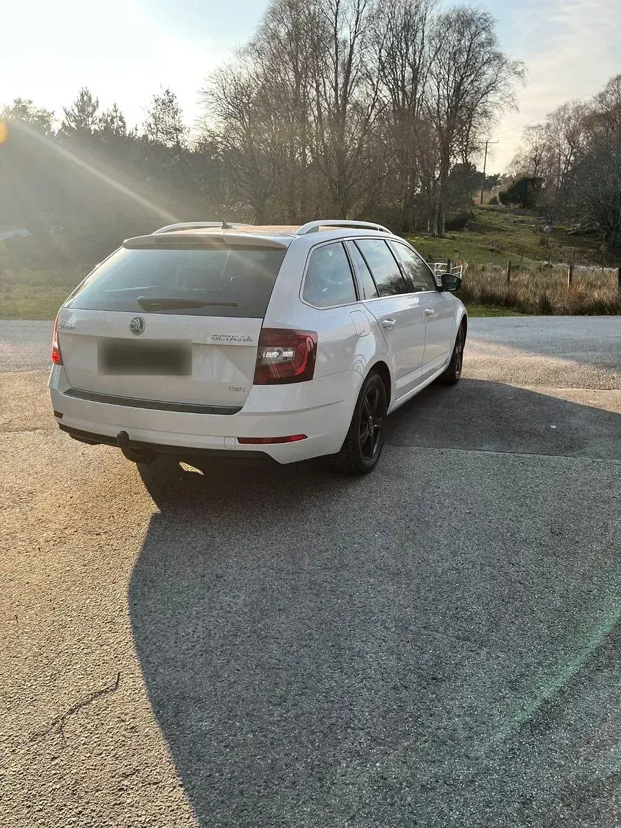 Gebraucht Skoda Octavia LAURIN & KLEMENT 184 PS (135 kW) 2018 Weiß Kombi