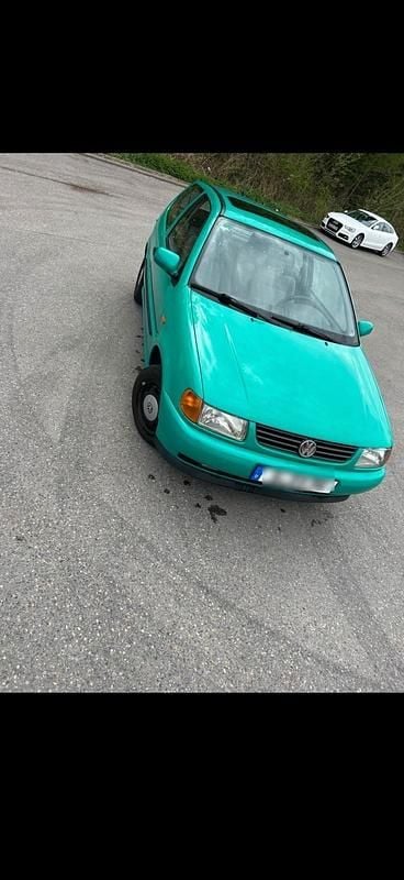 Usata VW Polo 65 CV (47 kW) 1997 Verde Utilitaria