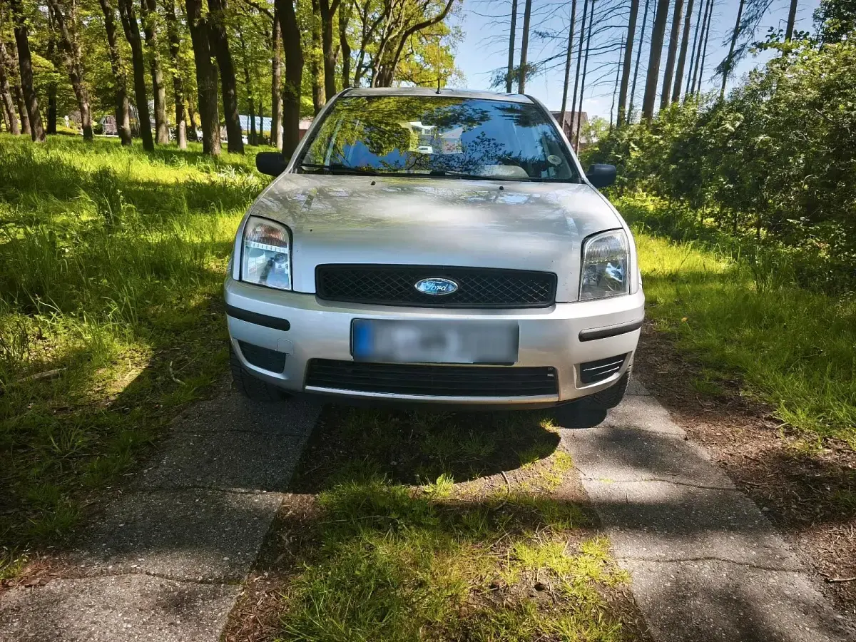 Gebraucht Ford Fusion 100 PS (73 kW) 2004 Grau Kleinwagen