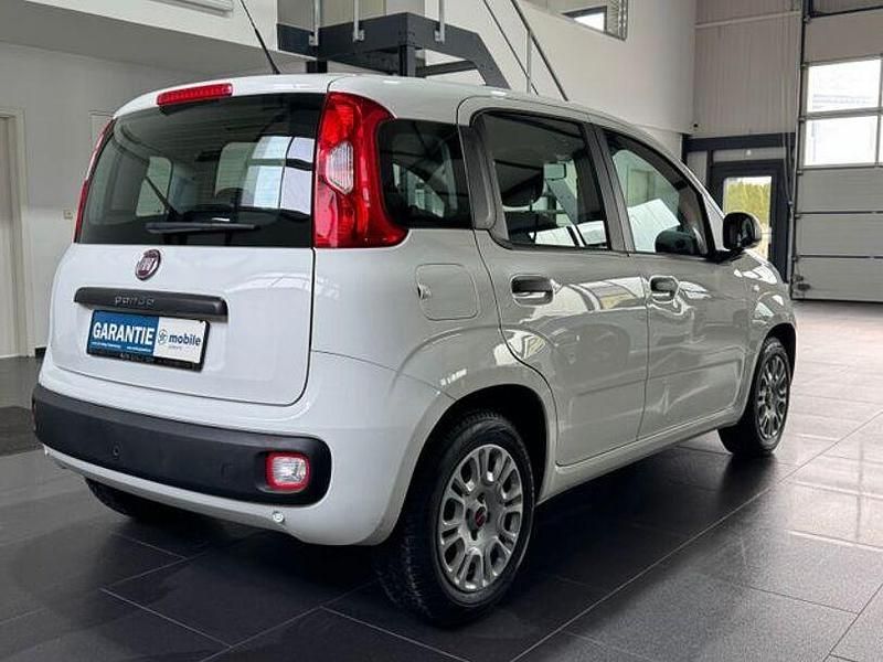 Gebraucht Fiat Panda Easy 69 PS (50 kW) 2017 Weiß Kleinwagen