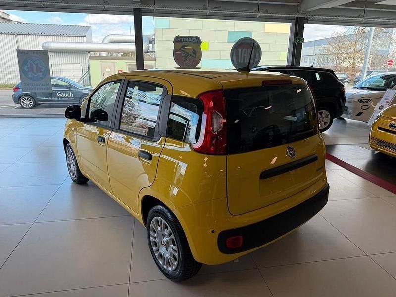 Neu Fiat Panda Icon 65 PS (47 kW) 2026 Gelb Kleinwagen