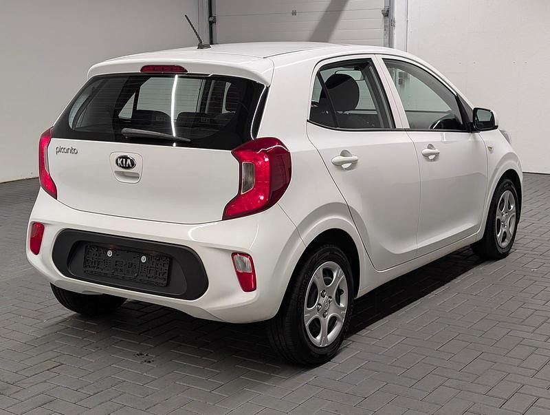 Gebraucht Kia Picanto 67 PS (49 kW) 2019 Weiß (weiss) Kleinwagen