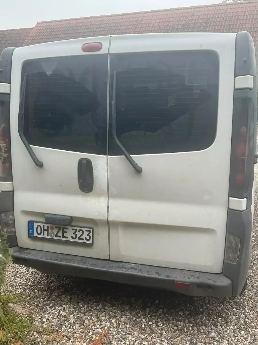 Gebraucht Opel Vivaro 2001 Weiß Van / Kleinbus
