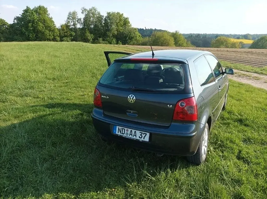 Usata VW Polo Cricket 75 CV (55 kW) 2004 Grigio Utilitaria