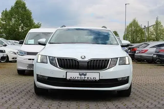 Gebraucht Skoda Octavia 116 PS (85 kW) 2017 Weiß Kombi