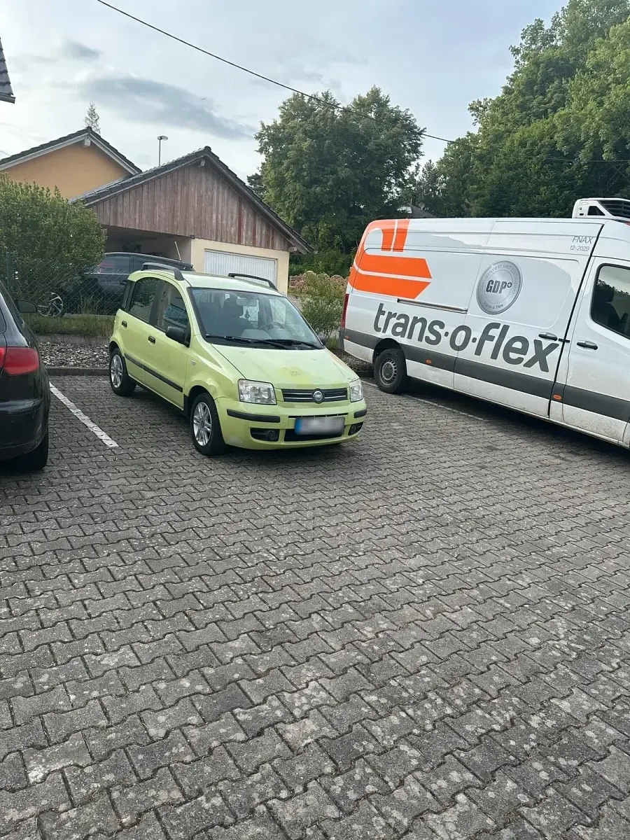 Gebraucht Fiat Panda 2005 Grün Kleinwagen