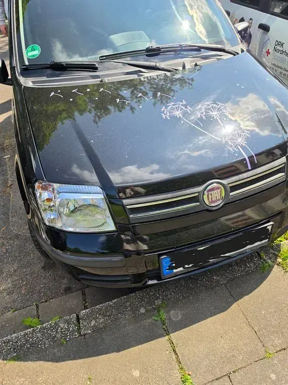 Używany Fiat Panda 60 KM (44 kW) 2009 Czarny Hatchback