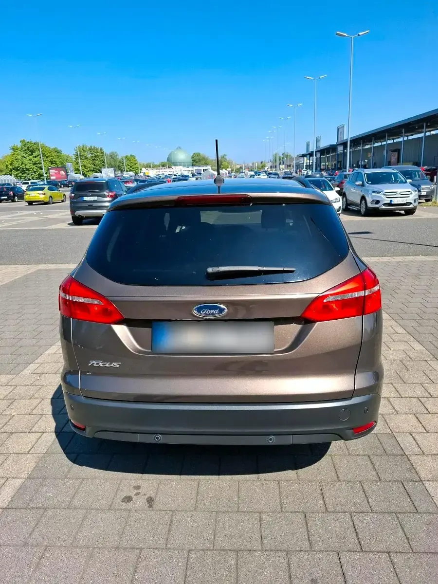 Usata Ford Focus 120 CV (88 kW) 2017 Marrone Station wagon