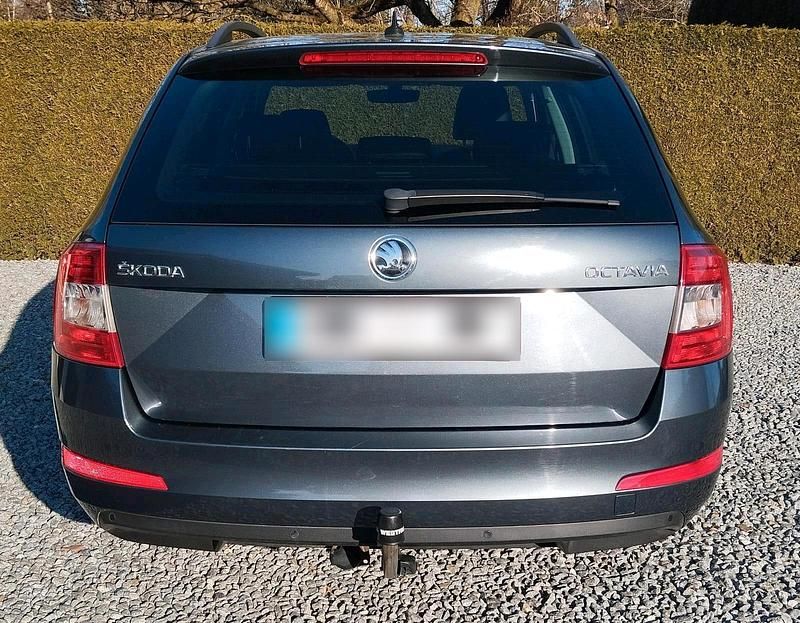Gebraucht Skoda Octavia 150 PS (110 kW) 2017 Grau Kombi