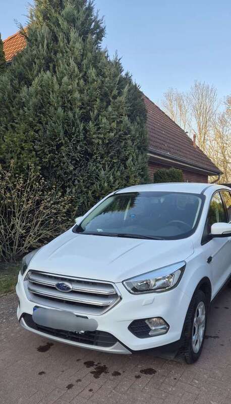 Weiß Gebraucht 2019 Ford Kuga Trend SUV | 14.300 € (Superpreis) - Bild 1/4