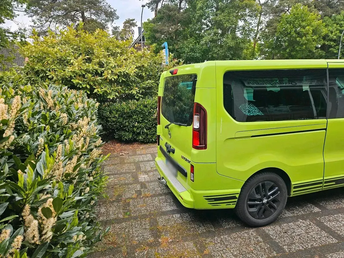 Gebraucht Opel Vivaro 145 PS (106 kW) 2017 Grün Van / Kleinbus