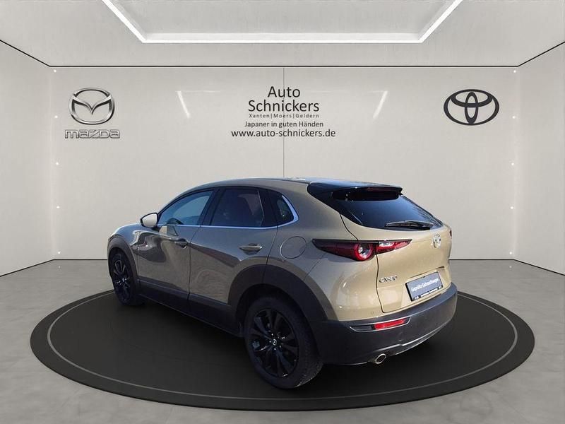 Gebraucht Mazda CX-30 Nagisa 140 PS (102 kW) 2025 Beige SUV