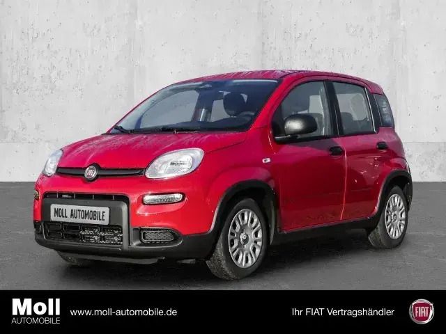 Rot Neu 2024 Fiat Panda Kleinwagen | 15.480 € - Bild 1/4