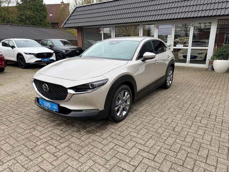 Platinum quartz m Neu 2025 Mazda CX-30 Exclusive-Line SUV | 32.990 € - Bild 1/4