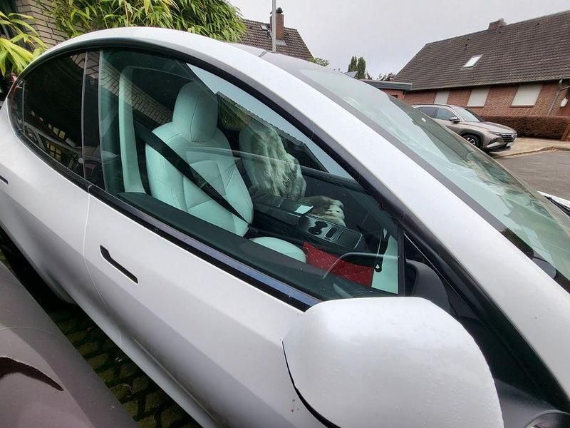 Gebraucht Tesla Model Y 274 kW (373 PS) 2022 Weiß SUV