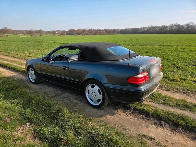 Gebraucht Mercedes CLK230 195 PS (143 kW) 2001 Schwarz Cabrio