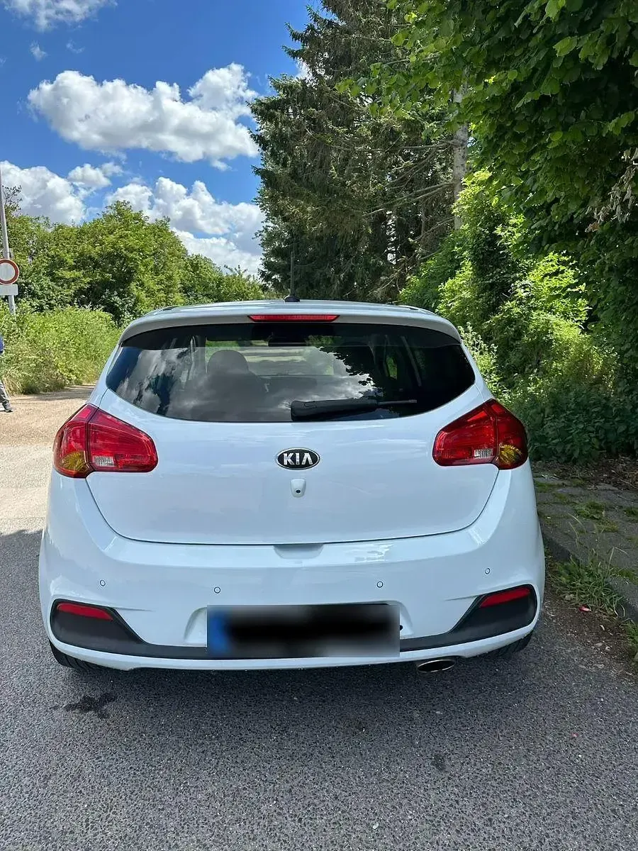 Gebraucht Kia Ceed Spirit 101 PS (74 kW) 2014 Weiß Kleinwagen