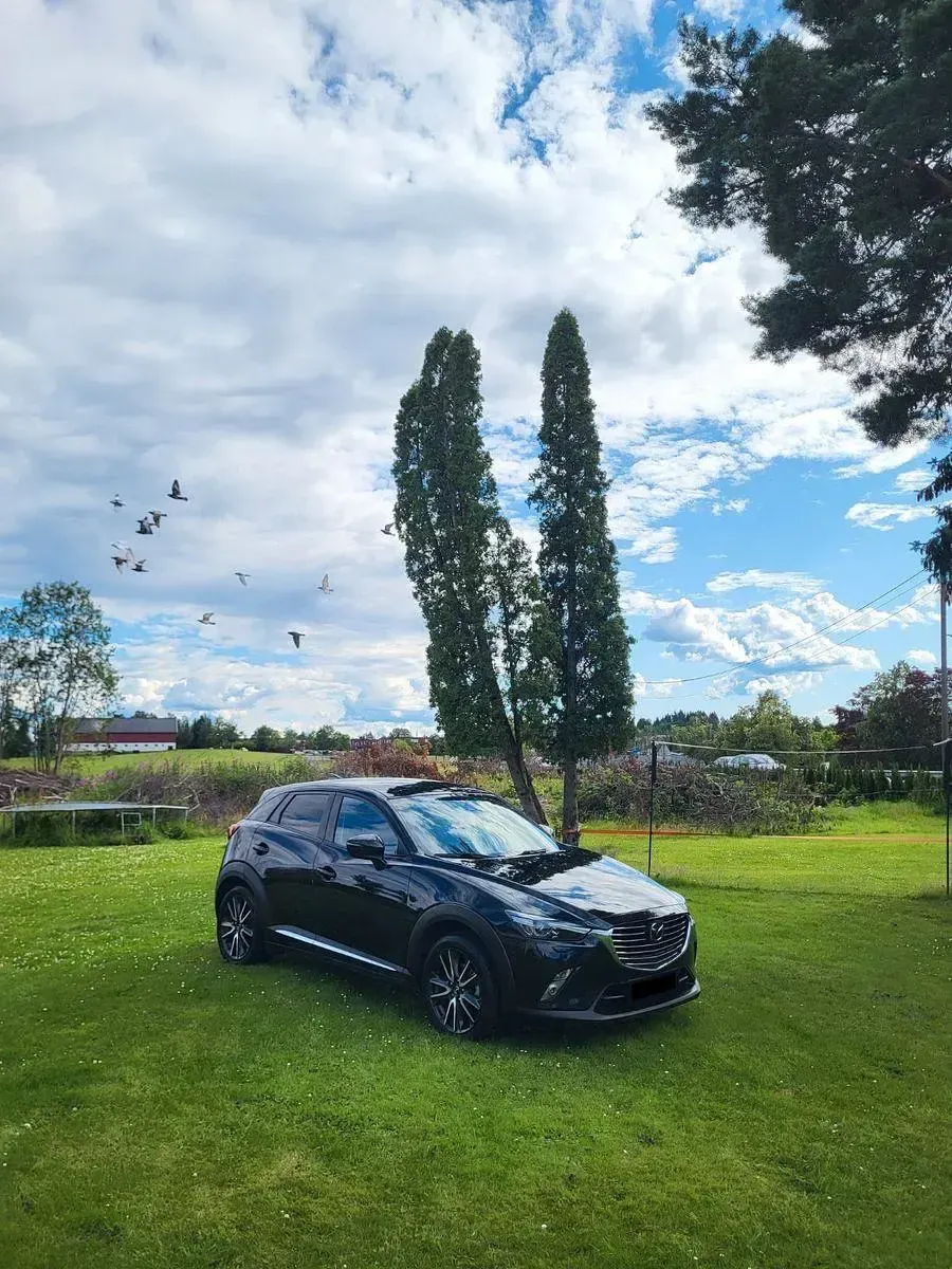 Gebraucht Mazda CX-3 Sports-Line 120 PS (88 kW) 2017 Schwarz SUV