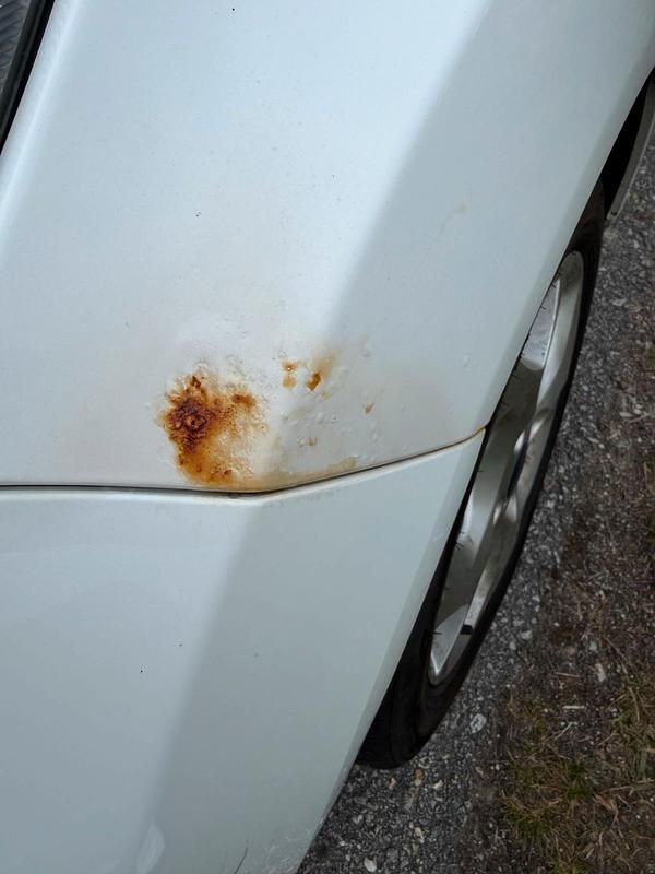 Gebraucht Ford Fiesta 68 PS (50 kW) 2009 Weiß Kleinwagen