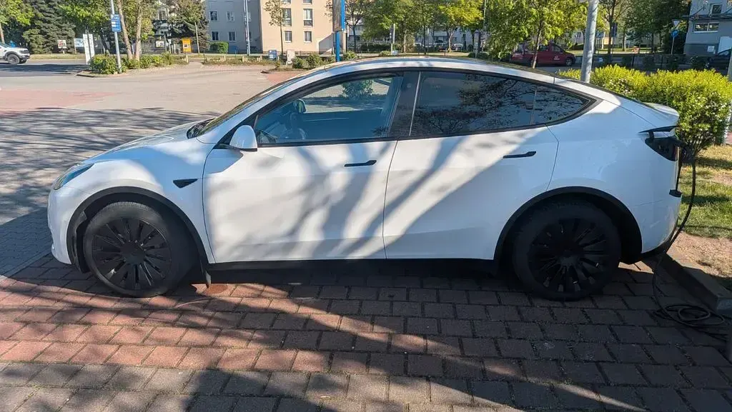 Usado Tesla Model Y 274 kW (373 CV) 2022 Blanco SUV