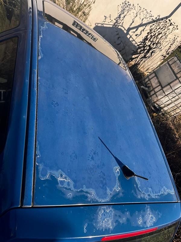 Gebraucht VW Polo 50 PS (36 kW) 2001 Blau Kleinwagen