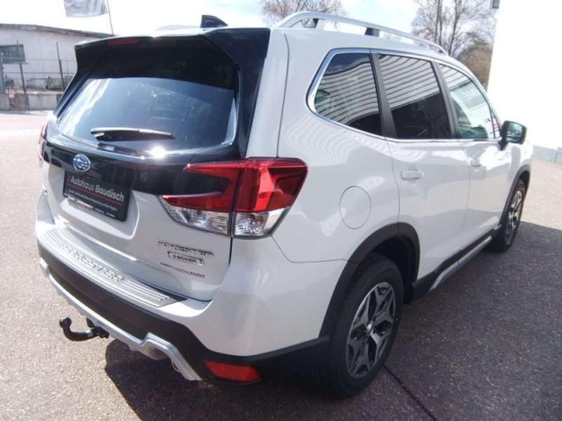Gebraucht Subaru Forester Active 150 PS (110 kW) 2024 Crystal white pearl SUV