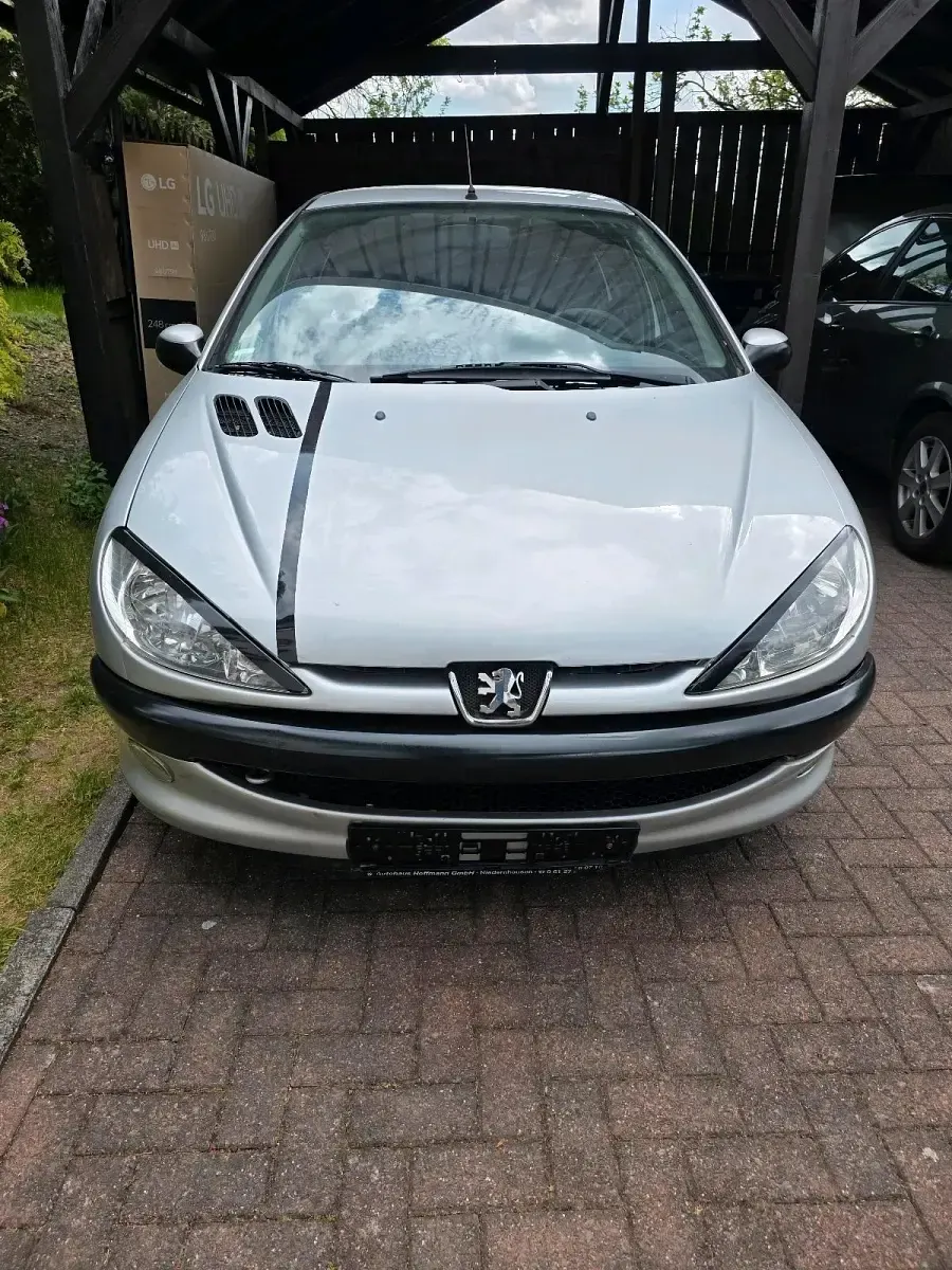 Używany Peugeot 206 75 KM (55 kW) 2004 Szary Hatchback