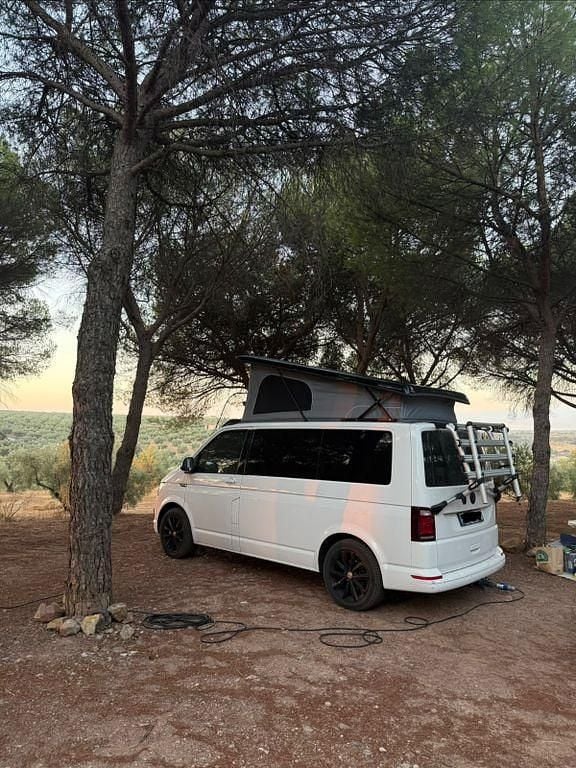 Second-hand VW T6 199 CP (146 kW) 2019 Alb Van