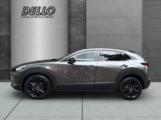 Neu Mazda CX-30 Nagisa 186 PS (136 kW) 2026 Grau SUV