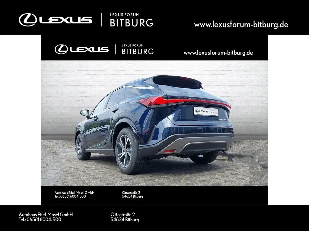 Neu Lexus RX450h Business Edition 309 PS (227 kW) 2026 Blau SUV