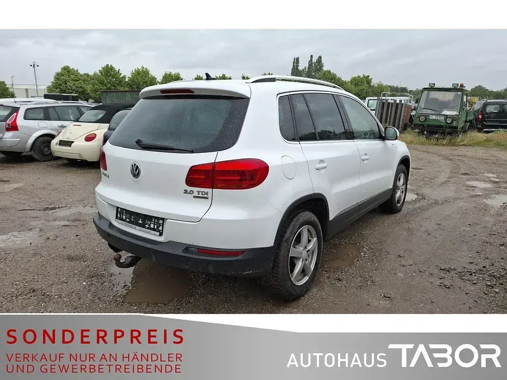 Gebraucht VW Tiguan Cup 140 PS (102 kW) 2014 Pure white SUV