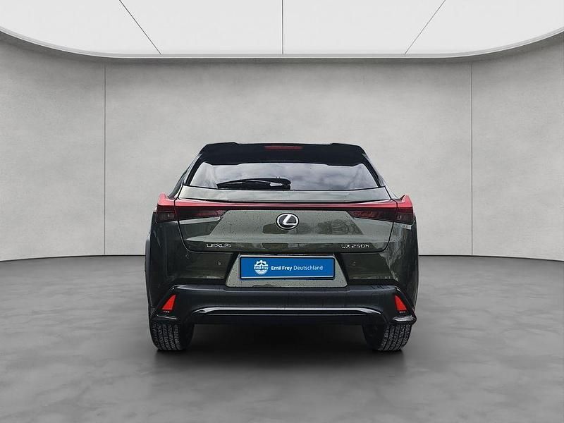 Gebraucht Lexus UX 250h Sport Design Packet 189 PS (139 kW) 2024 Grün SUV