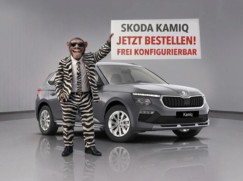 Gebraucht Skoda Kamiq Selection 116 PS (85 kW) 2026 SUV