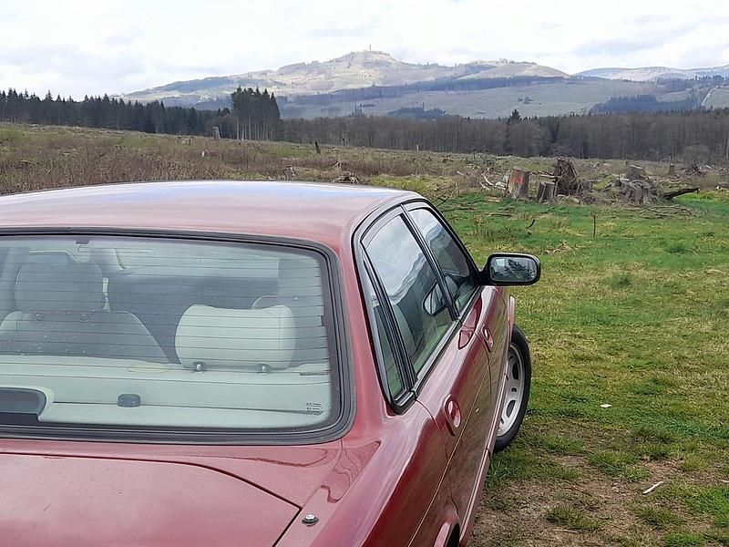 Gebraucht Jaguar XJ 174 PS (127 kW) 1988 Rot Limousine