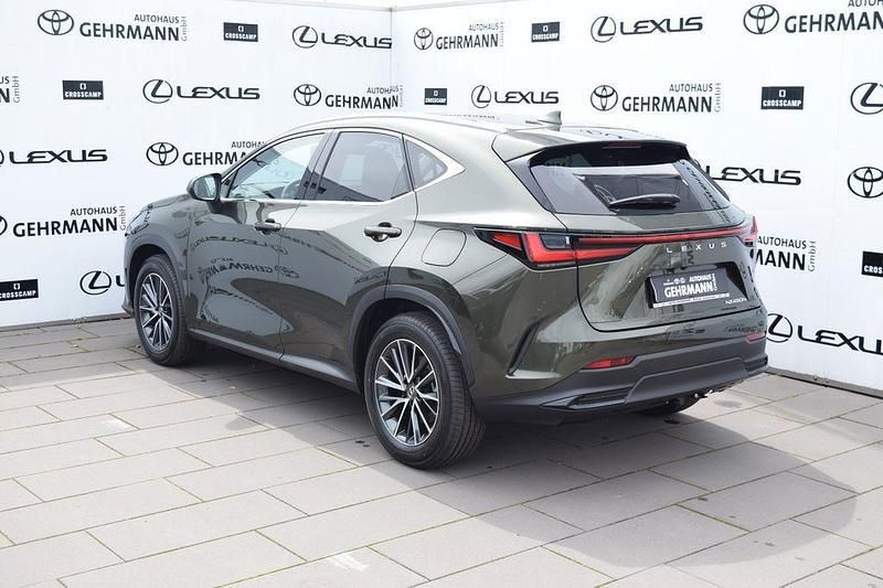 Gebraucht Lexus NX450h+ Business Edition 309 PS (227 kW) 2025 Grün SUV